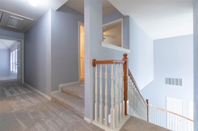 stairway featuring carpet floors