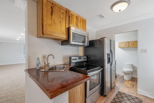 kitchen with kitchen peninsula, appliances with stainless steel finishes, sink, and ornamental molding