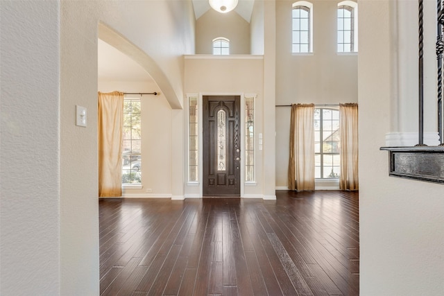 foyer featuring a towering ceiling and dark hardwood / wood-style floors