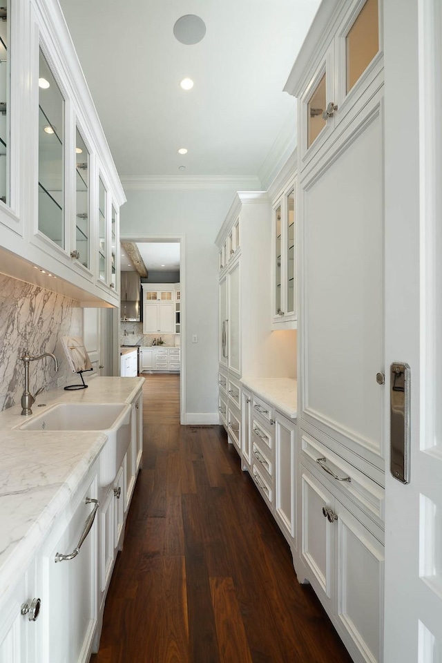 interior space featuring dark wood-type flooring, crown molding, and sink