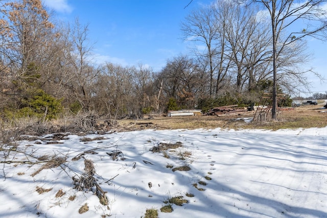 view of yard layered in snow