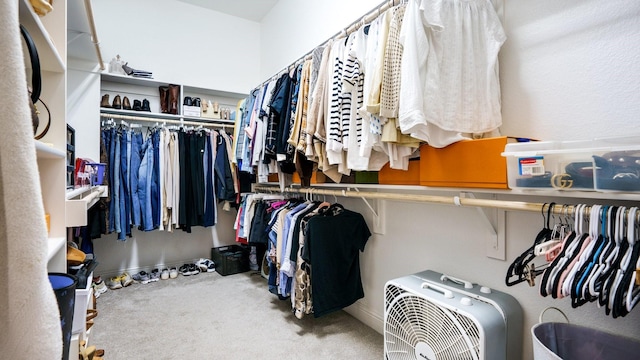 spacious closet with carpet flooring