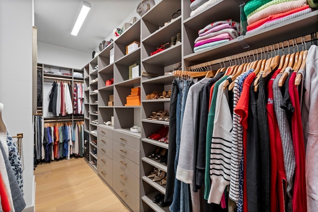 walk in closet with light hardwood / wood-style flooring