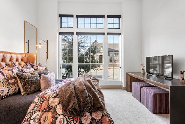 bedroom featuring carpet floors and a high ceiling