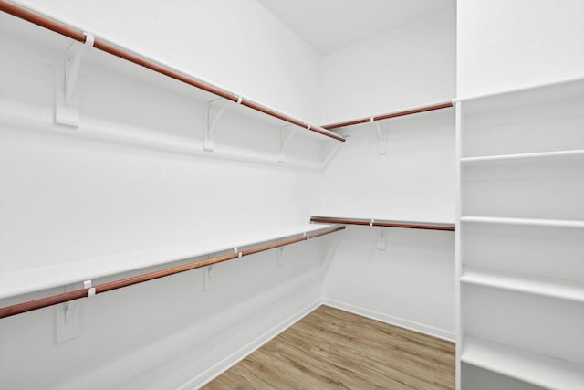 spacious closet with wood-type flooring