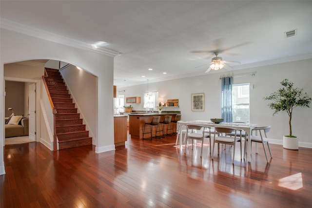 dining area with ceiling fan, crown molding, and dark hardwood / wood-style floors