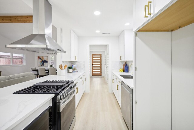 kitchen featuring ventilation hood, appliances with stainless steel finishes, decorative backsplash, plenty of natural light, and sink