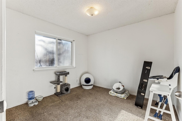 misc room featuring a textured ceiling and carpet flooring