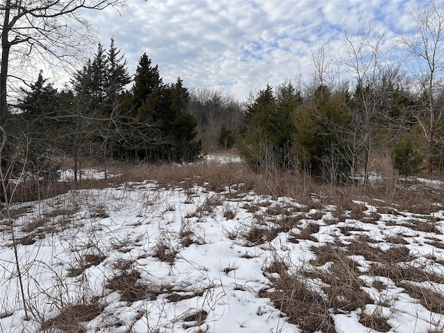 view of snowy landscape