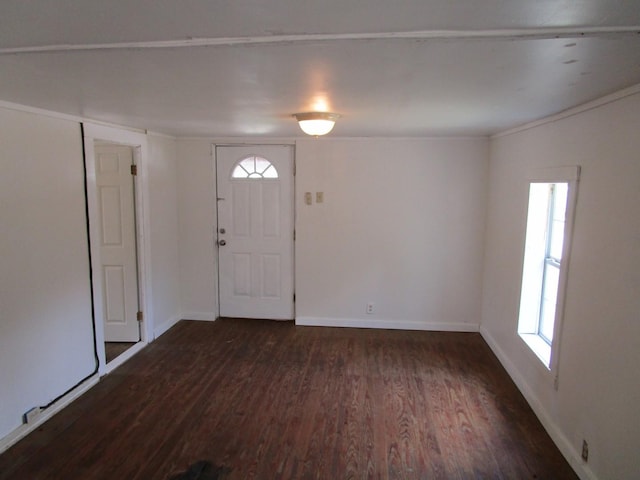 foyer entrance featuring a healthy amount of sunlight and dark hardwood / wood-style flooring