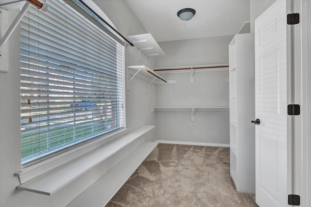 spacious closet featuring light colored carpet