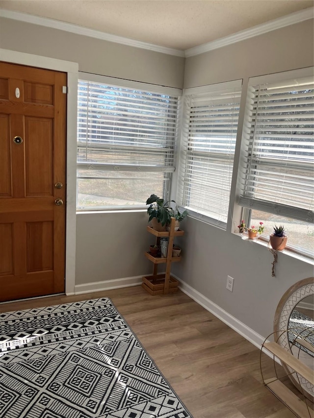 entryway featuring crown molding and wood-type flooring