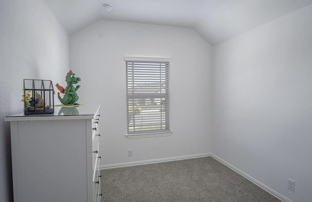 interior space with vaulted ceiling and carpet floors