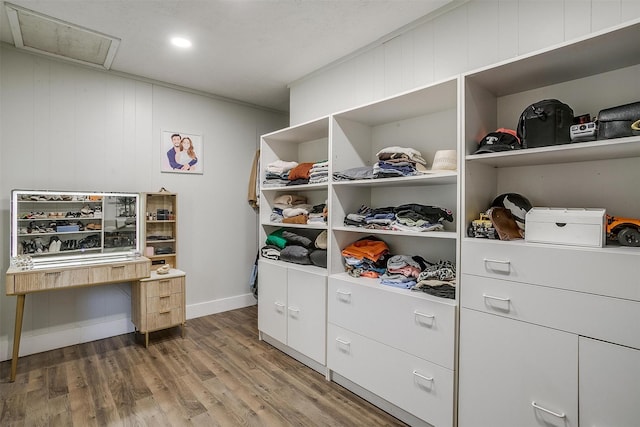 walk in closet featuring wood-type flooring