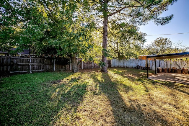 view of yard with a patio area