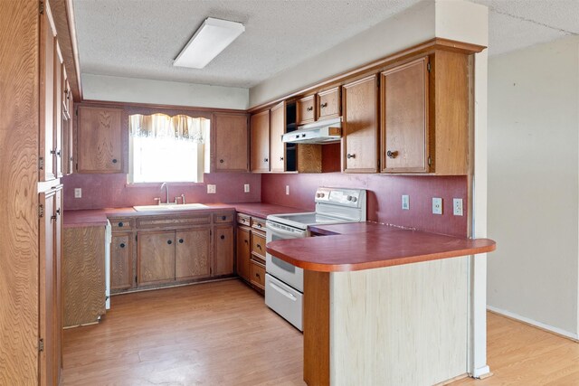 kitchen with electric stove, light wood-type flooring, sink, and a textured ceiling