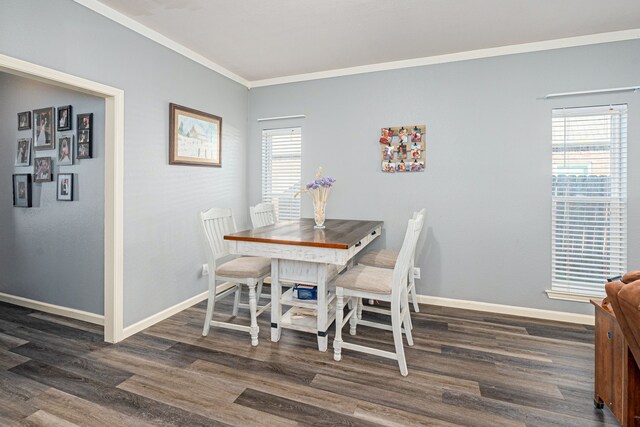 interior space featuring dark hardwood / wood-style floors and crown molding