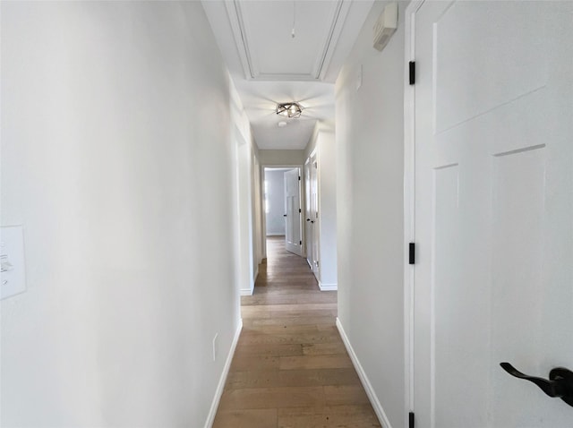 corridor featuring wood-type flooring