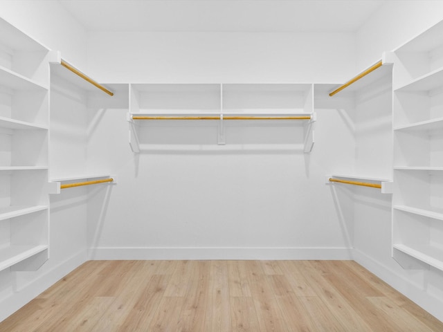 spacious closet featuring wood finished floors