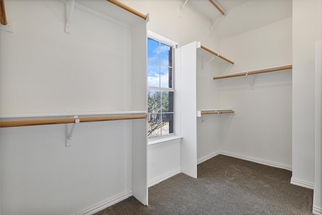 spacious closet featuring dark carpet