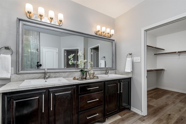 bathroom with hardwood / wood-style flooring and vanity