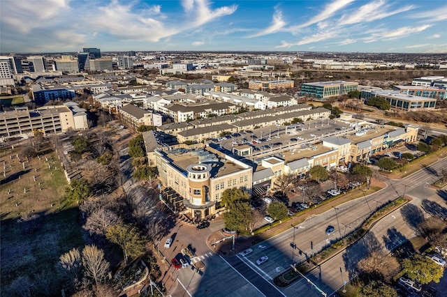 bird's eye view