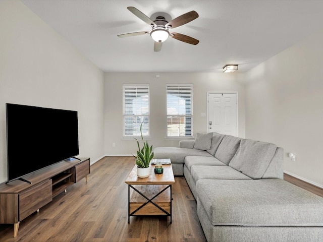 living room with ceiling fan and hardwood / wood-style flooring