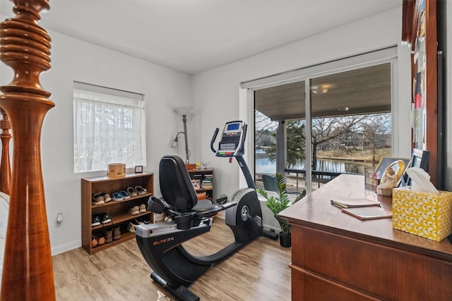 office space featuring a water view, a healthy amount of sunlight, and light wood-type flooring