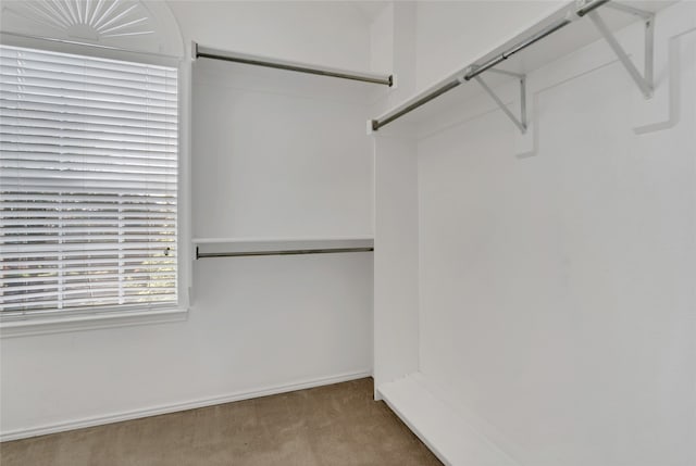 walk in closet with light colored carpet