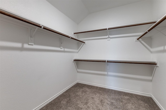 spacious closet featuring lofted ceiling and carpet floors