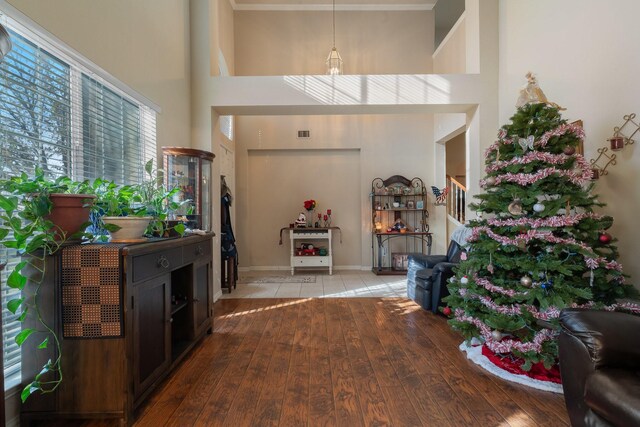 living room featuring ceiling fan and wood-type flooring