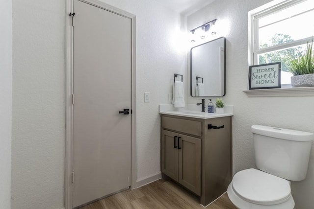 bathroom featuring toilet, vanity, and wood-type flooring