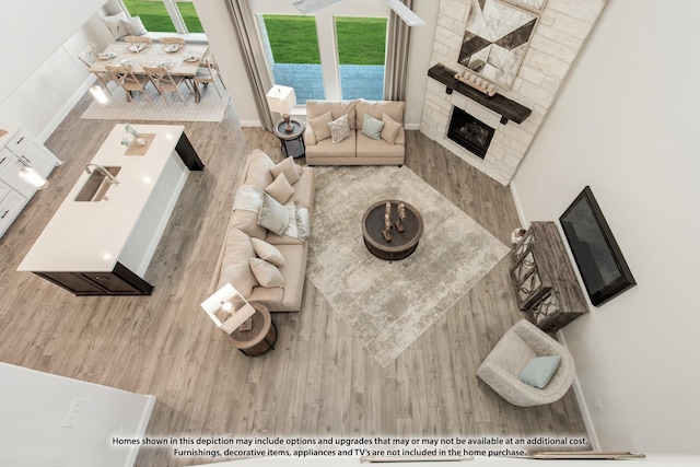 living room featuring wood-type flooring and a fireplace