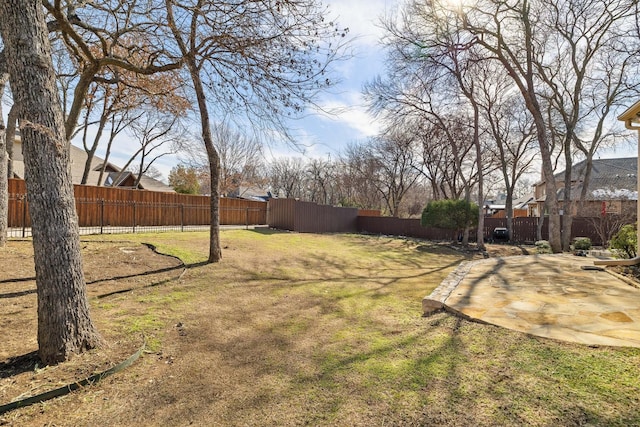 view of yard with a patio