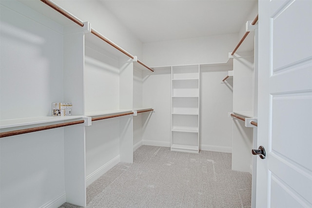 spacious closet with light carpet