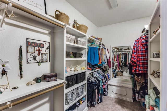 spacious closet with carpet floors