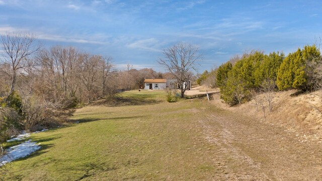 view of yard with a shed