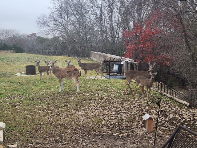 view of yard with a rural view