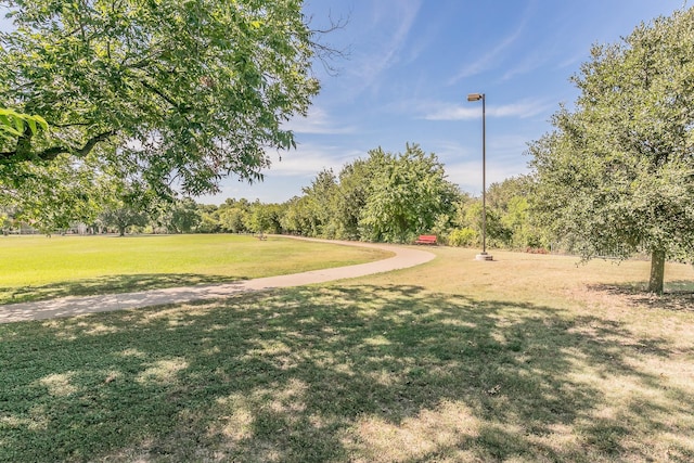 view of community with a lawn