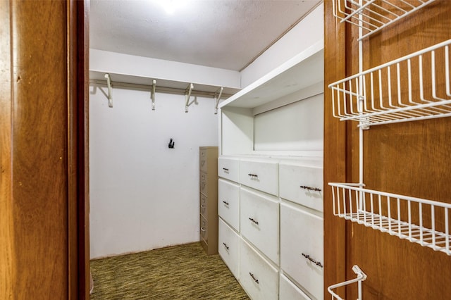 walk in closet with dark colored carpet