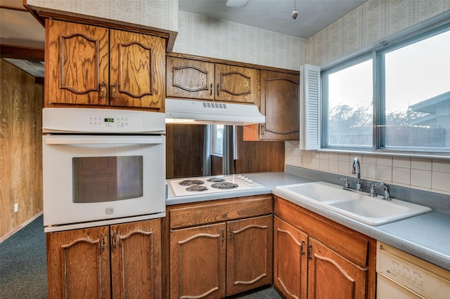 kitchen featuring carpet floors, a healthy amount of sunlight, sink, and white appliances