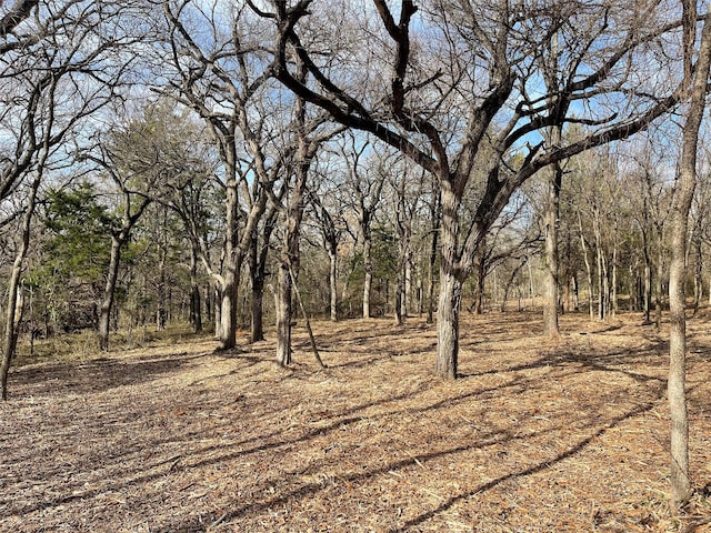 Listing photo 2 for TBD3.9ACRES Barron Rd, Covington TX 76636