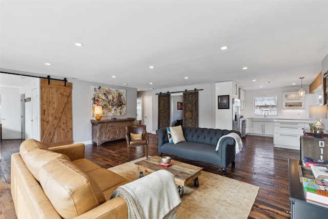 living room featuring sink, dark hardwood / wood-style flooring, and a barn door