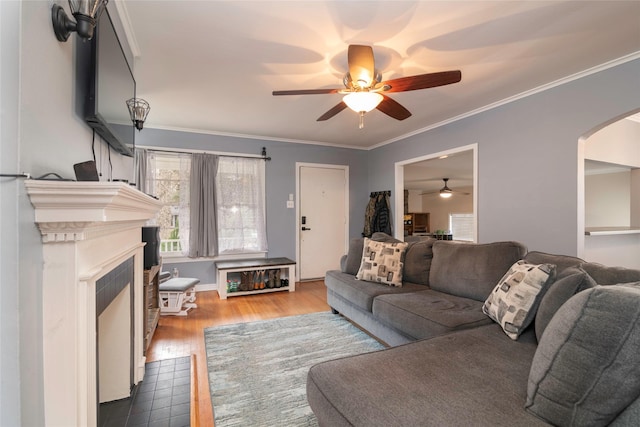 living room featuring ceiling fan, wood-type flooring, and crown molding