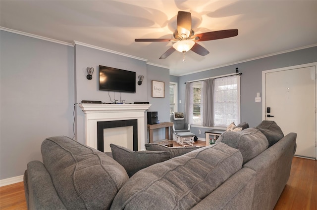 living room with light wood-type flooring, ceiling fan, and crown molding