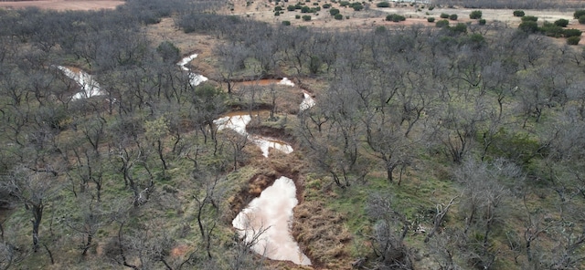 TBD County Road 175, Lawn TX, 79530 land for sale