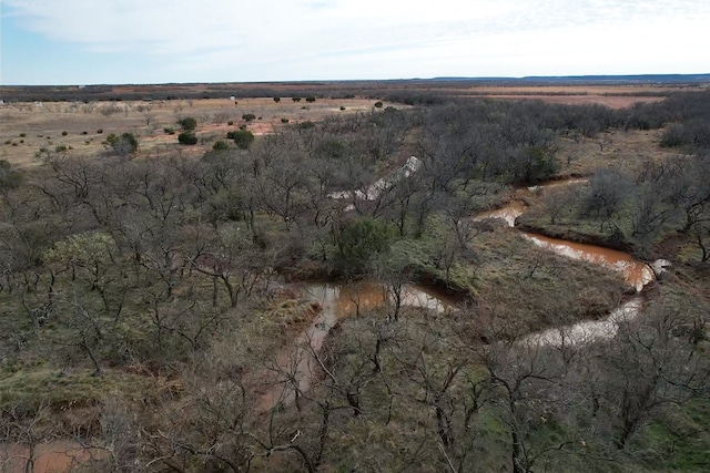 Listing photo 2 for TBD County Road 175, Lawn TX 79530