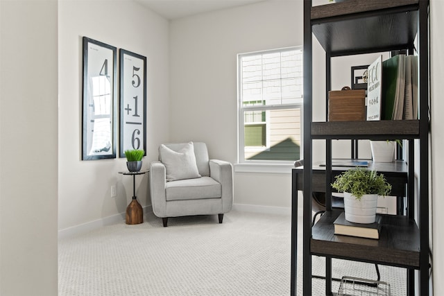 sitting room with carpet flooring