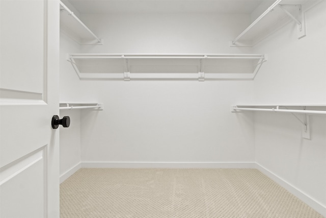 spacious closet featuring light carpet