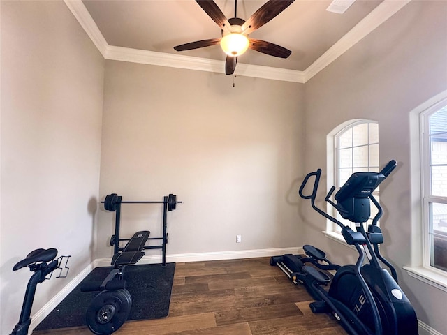 exercise area with dark wood-type flooring, crown molding, and ceiling fan